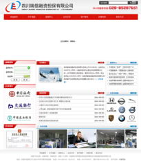 瑞信融资担保与卡瑞网络携手打造精品网站建设案例展示