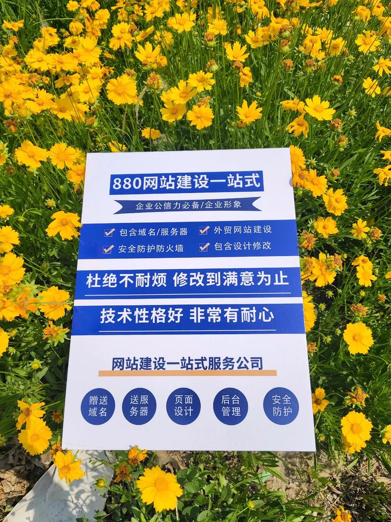 网站建设一站式解决方案 高效开发，全面服务