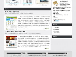 ASP精品网络建设公司网站源码与软件开发解决方案